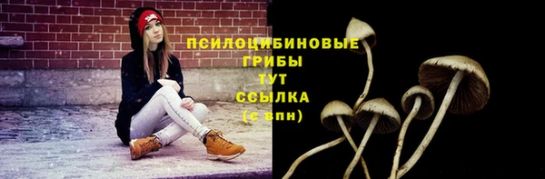 кокс Абаза