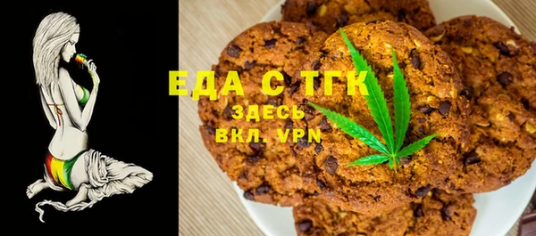 индика Абинск